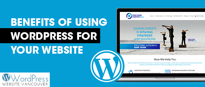 WordPress for Your Website